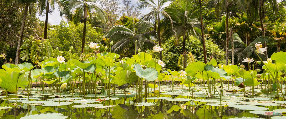 mauritius_13