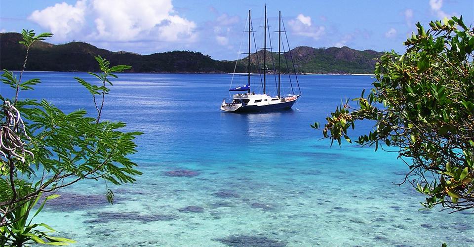 Sea Star on Anchor